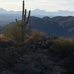 Meet your Posher, Suzy